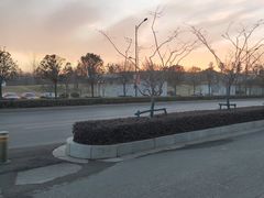 -南京农业大学(浦口校区)