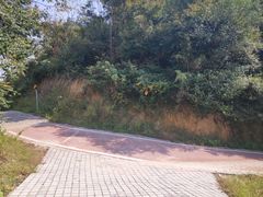 -敬亭山风景名胜区