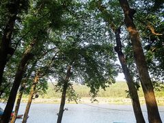 -楠溪江风景名胜区