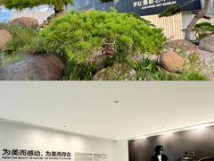 -罗红摄影艺术馆