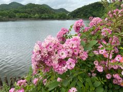 -浙江科技大学(小和山校区)