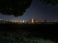 -洋湖国家湿地公园