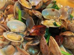 爆炒红岛小蛤蜊-红尘酒肉小馆