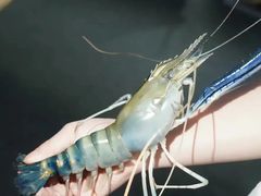 -阳澄湖半岛旅游度假区