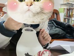 -85度C(广州石牌桥店)