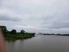 -哈尔滨大剧院