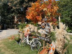 -HERRE·FARM 赫尔露营农场·团建聚会包场