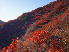 -水峪民俗村