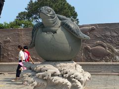 -广东惠东海龟国家级自然保护区