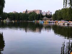 -团结湖公园