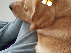 -咬不得高祖生煎·简餐(城站店)