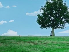 -钟山体育运动公园
