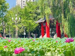 -四川大学(望江校区)