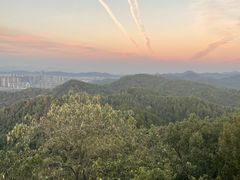 -云碧峰国家森林公园