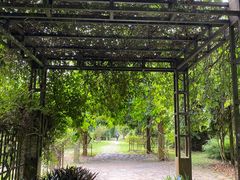 -中国科学院西双版纳热带植物园