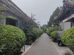 -有喜胶东小馆(太申祥和店)