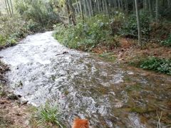 -黄公望隐居地