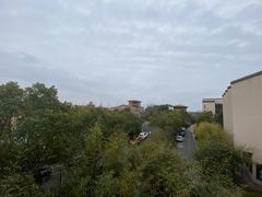 -上海崇明金茂凯悦酒店