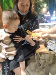 -酷嗒动物文化乐园(cutezoo西溪乐天城店)