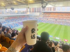 -泰达足球场