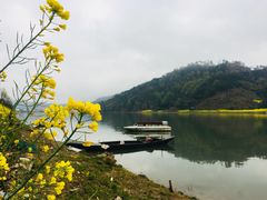-新安江山水画廊风景区
