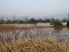 -西昌邛海湿地