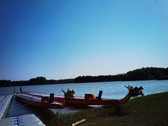 -上海海湾国家森林公园