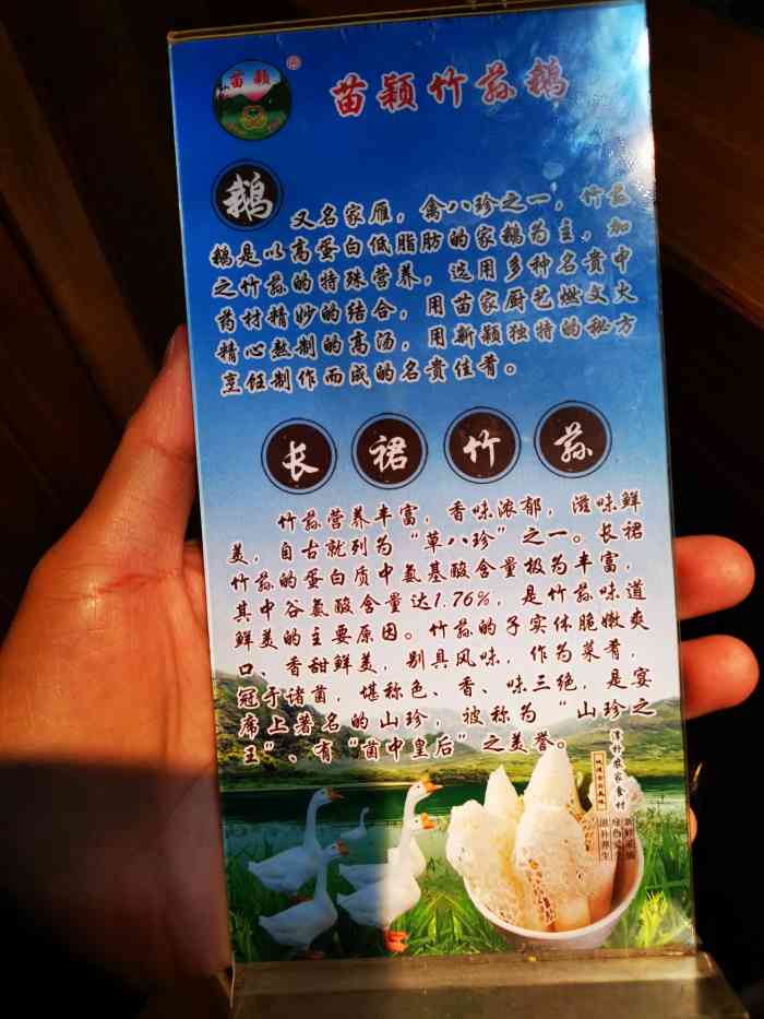 苗颖竹荪鹅(济水上苑店)-"大学同学考完研究生,回济南"探亲".我们.