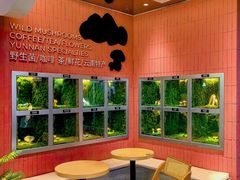 景观位-芸山季·云南野生菌火锅(宝能环球汇店)
