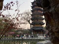 -红梅公园