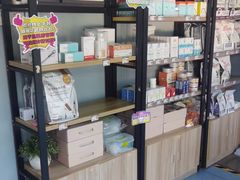 -伟伟宠物医院·瑞派猫友好医院·猫科(光谷店)