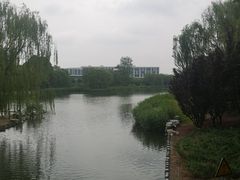 -大兴滨河森林公园