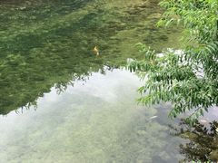 -无染寺