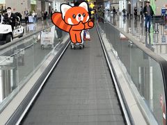 -青岛胶东国际机场