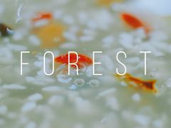 -胡家包子·清真(大众巷店)