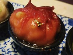 -点都德·毕德寮
