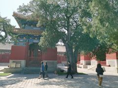 -北京国子监胡同