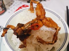 -壹盏灯(惠农店)