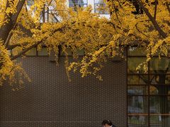 -四川大学(华西校区)