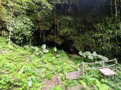 -海口火山口国家地质公园
