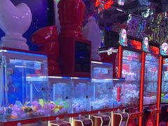 -嘻哈欢乐场(华宇广场店)