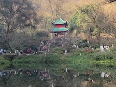 -COMMUNE幻师(解放西路店)