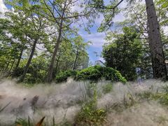 -深圳图书馆-停车场