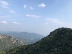 -大岭沟猕猴桃谷风景区