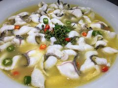 -青花椒花椒鱼(合生汇店)