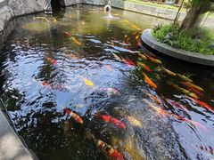 -河内西湖莲花自助餐厅