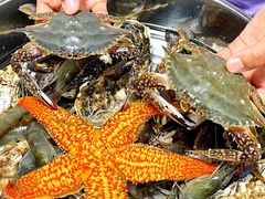 -富临港·蒸汽海鲜·手抓海鲜·炒菜(栈桥店)