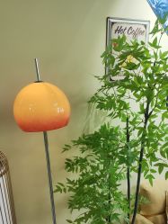 -变美丽半永久纹眉连锁·机器野生眉•洗眉