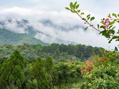 -北京西山国家森林公园