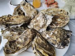 -宾朋海鲜特色美食餐厅·纯手工鲅鱼水饺(兴海路店)